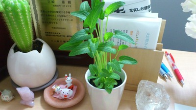 20120223¥¹¥ß¥ì