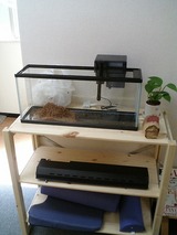 ��������桦����