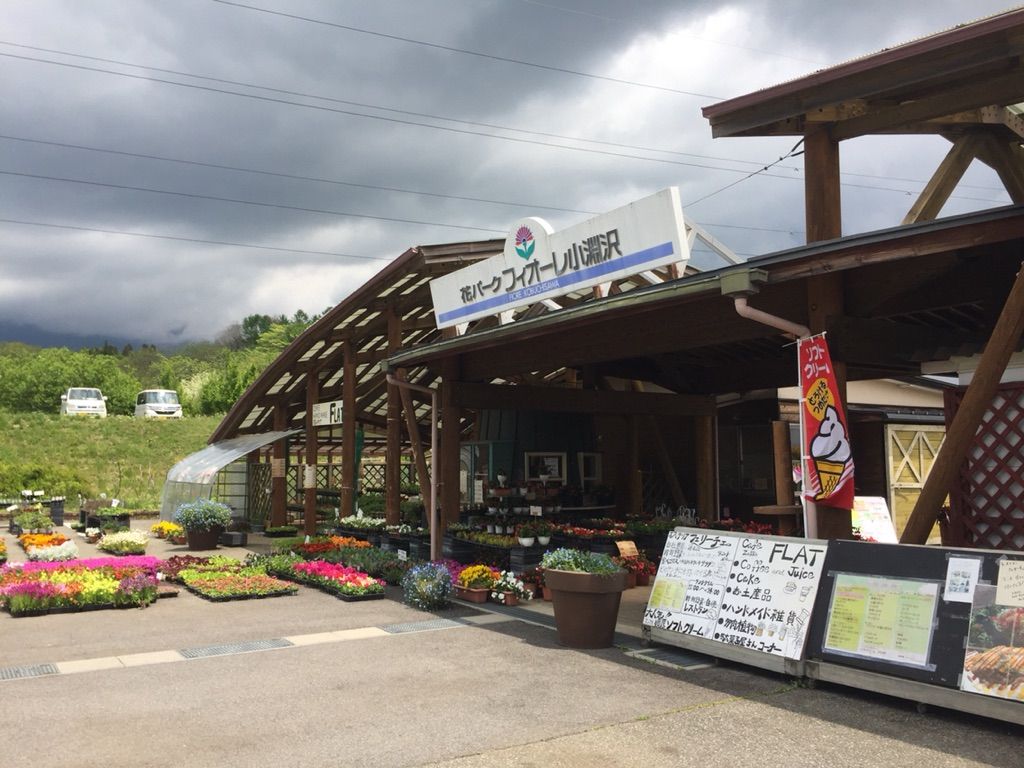 山梨旅行記 花パーク フィオーレ小淵沢 考える整体師 大井町カイロプラクティック 山梨旅行記 花パーク フィオーレ小淵沢 考える整体師 大井町カイロプラクティック