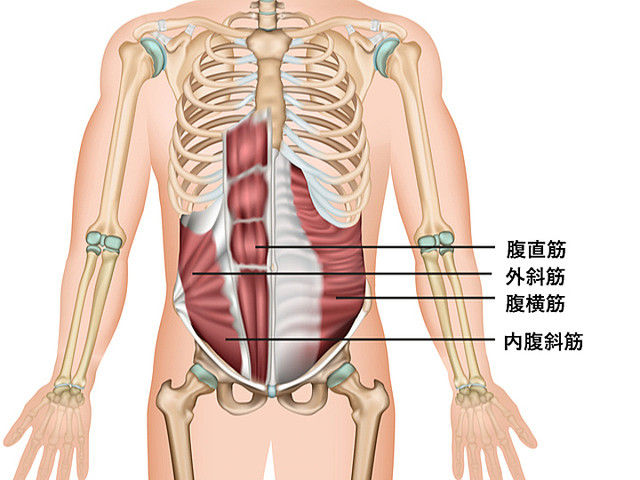 逆腹筋を2か月やってみた結果 考える整体師 大井町カイロプラクティック 逆腹筋を2か月やってみた結果 考える整体師 大井町カイロプラクティック