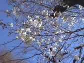20110404ºù
