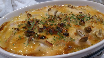 20120529����ͣ�