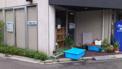 20110728¥Õ¥¡¥Ë¡¼¥Ú¥Ã¥Ä