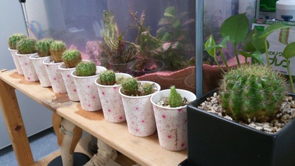 20140908¥µ¥Ü¥Æ¥ó