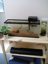 ������λ