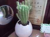 20101028¥µ¥Ü¥Æ¥ó
