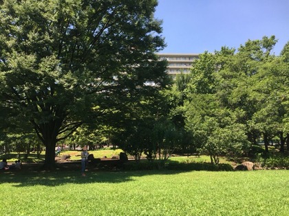 2016-07-29-11-39-56