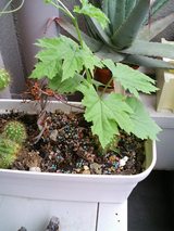 �����䡡����1��