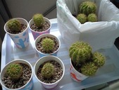 20101101¥µ¥Ü¥Æ¥ó