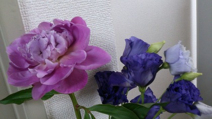 20140530¥µ¥Ü¥Æ¥ó¡¦²Ö (2)