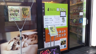 猫カフェに行ってきた 考える整体師 大井町カイロプラクティック