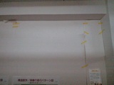 20090511�ɻ�?