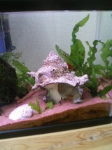 ������������ޤ���