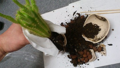 20120224¥µ¥Ü¥Æ¥ó£³