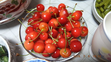 DSCF2672