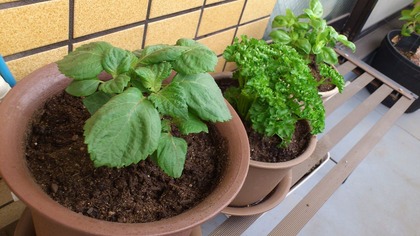 20130420¥Ù¥é¥ó¥À