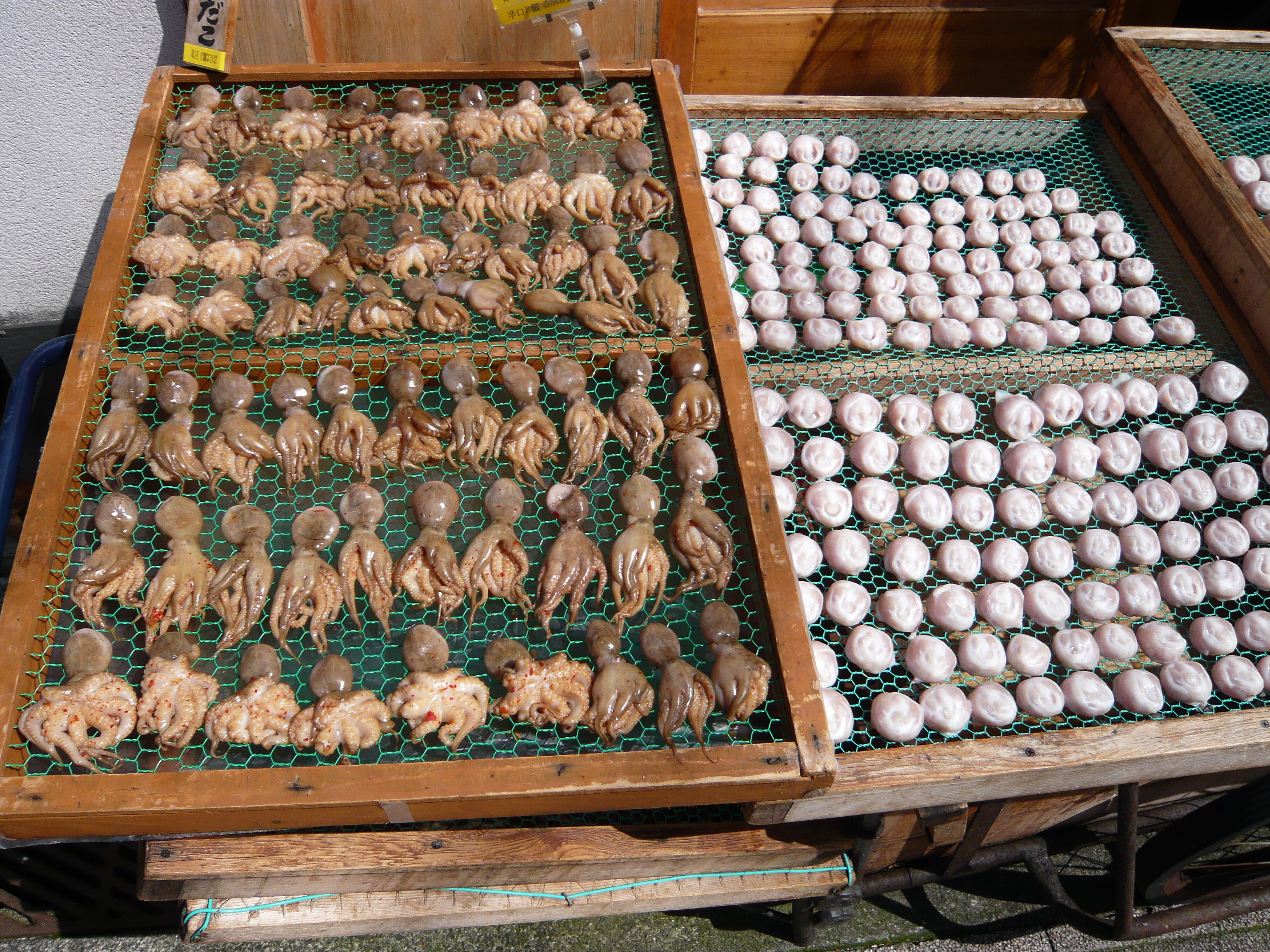 伊東の干物 タコとイカ 考える整体師 大井町カイロプラクティック