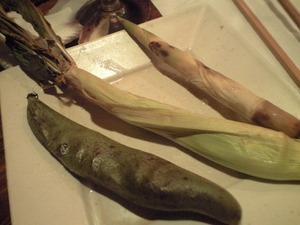 20110611���Ȥꤨ��