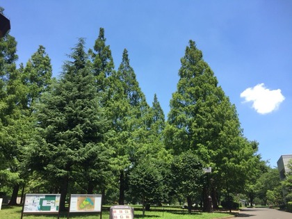 2016-07-29-11-37-11