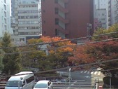 20101112¹ÈÍÕ