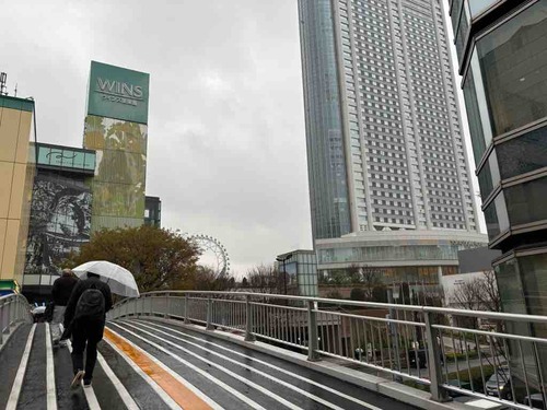 IMG_2351