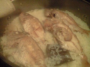 20110611���Ȥꤨ����