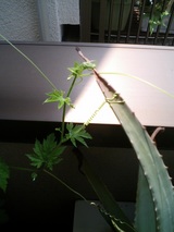 7.27������