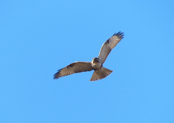P1190471_R