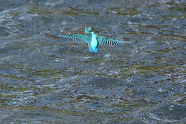 DSC_1414_R