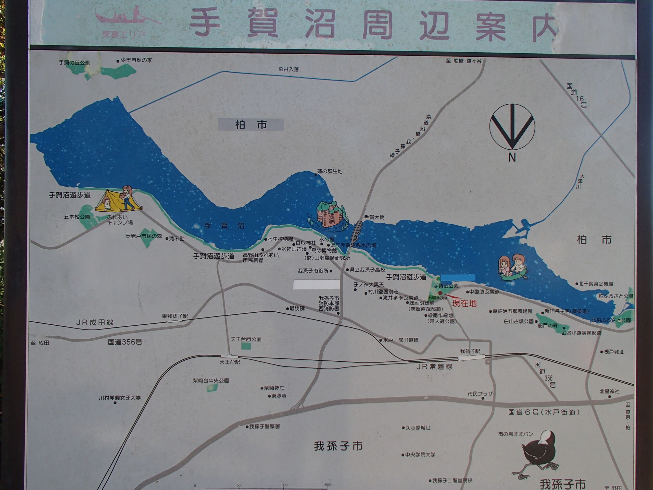 強風の 手賀沼 我孫子市側 Run 10km 今日も安全第一で走る 強風の 手賀沼 我孫子市側 Run 10km 今日も安全第一で走る