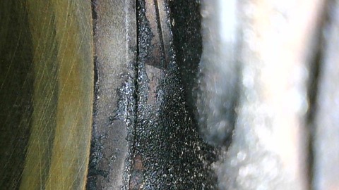 IMG_0034