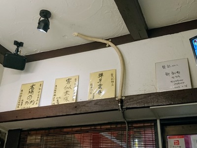 色紙