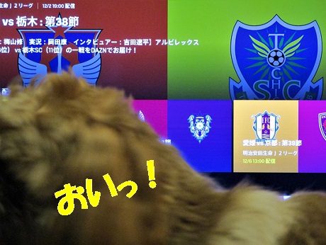 ２０２０ ｊ２第３８節 Vs アルビレックス新潟戦 新潟スタジアム By Dazn Miya Charlieのブログ