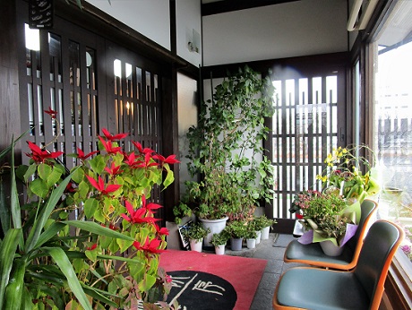 20200216 無限花序 ③