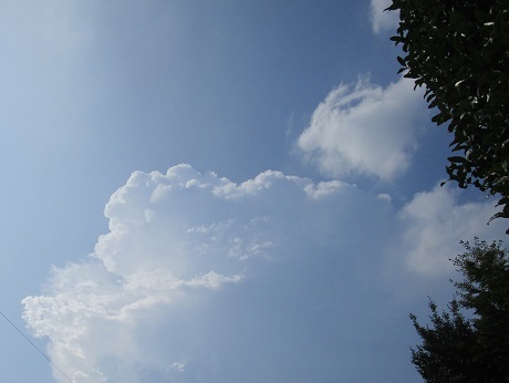 20200811 入道雲 ①