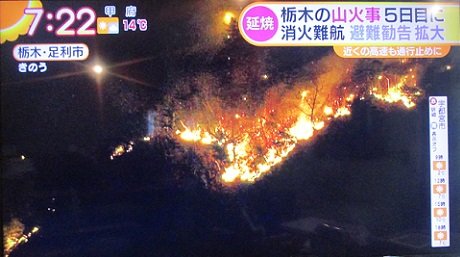 20210225 足利 山火事 ①