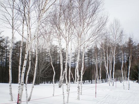 20110220ハンタマ④