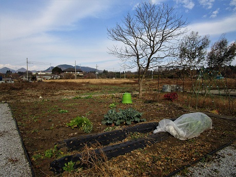 20201211 希望ヶ丘菜園 ①