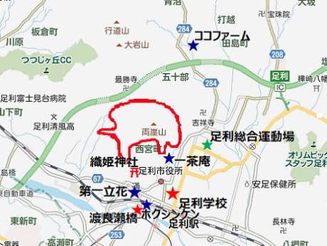 20210225 足利 山火事 ②