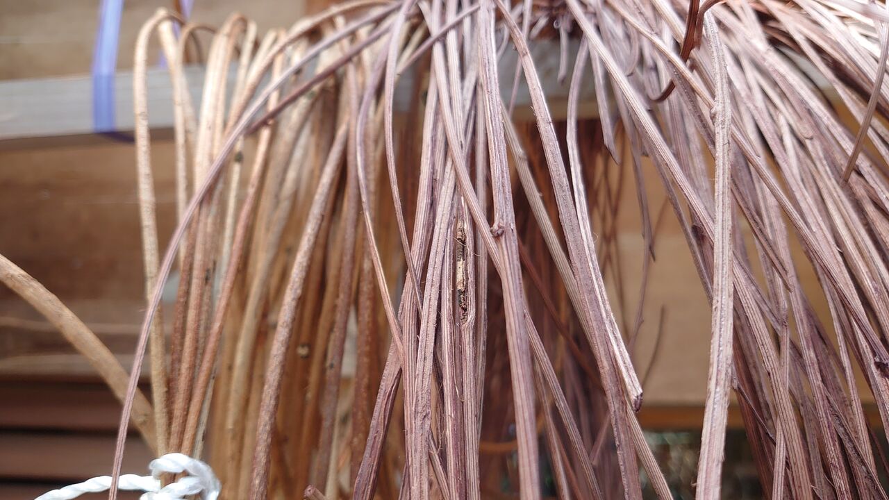 アケビの蔓細工 製白蔓を染める : 里山暮らしの雑記帳