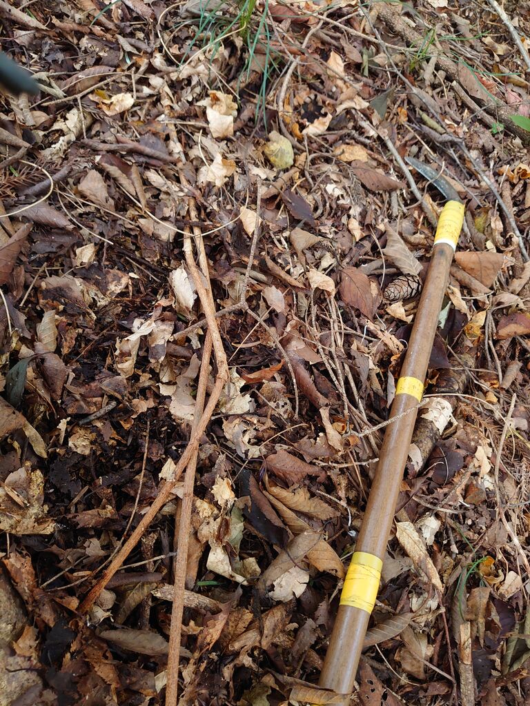 アケビの蔓(根蔓ランナー ) アケビの蔓 ランナー 120M以上！細め！ - メルカリ