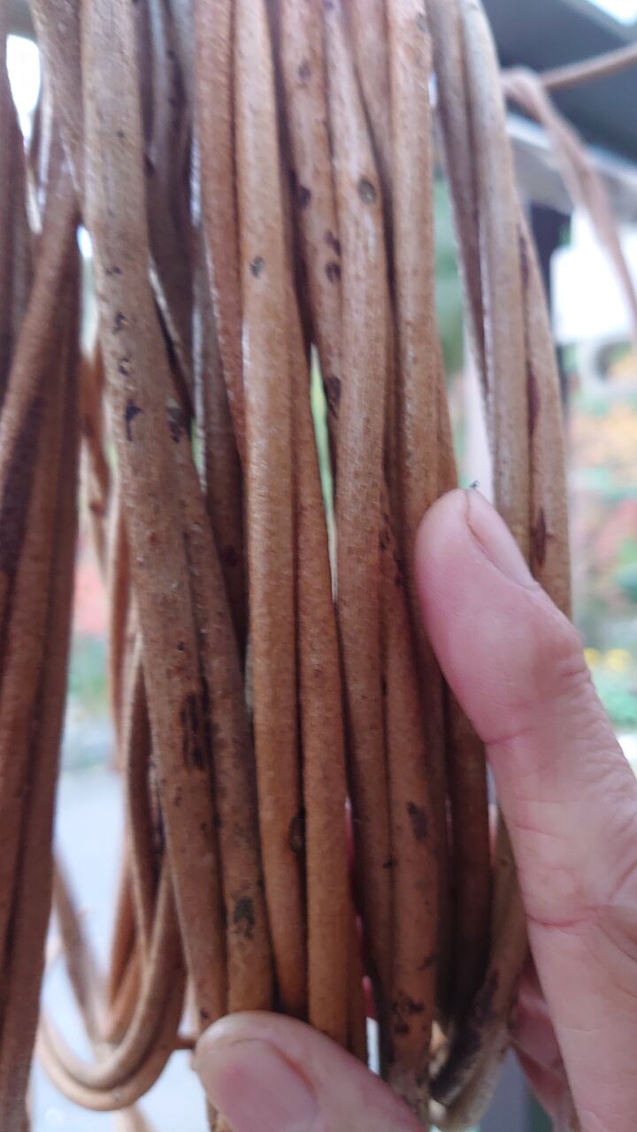 アケビの蔓細工 蔓（ランナー）の出る場所と靴とパンツ : 里山暮らしの