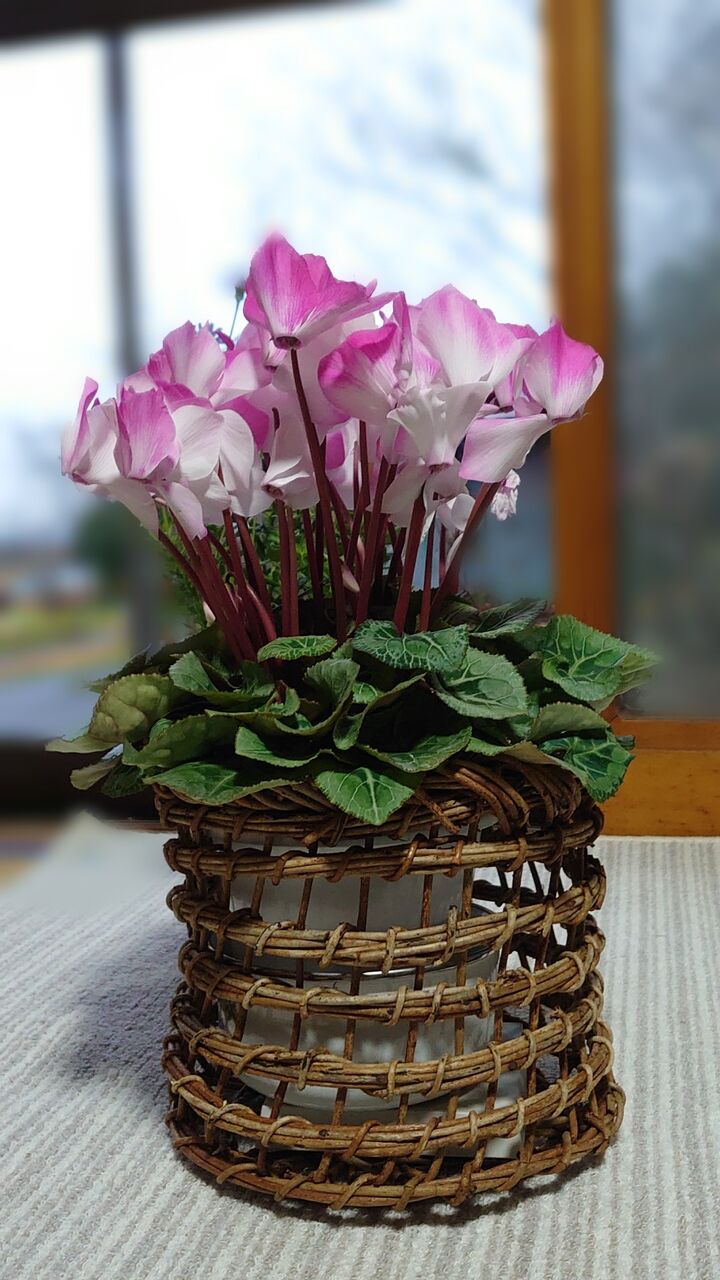 アケビの蔓細工 今日は鉢カバー : 里山暮らしの雑記帳