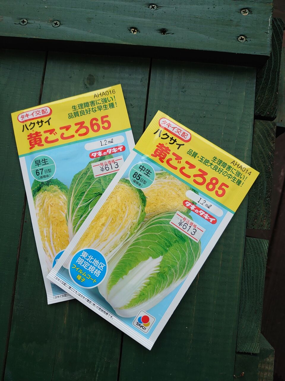白菜の種まき 里山暮らしの雑記帳 白菜の種まき 里山暮らしの雑記帳