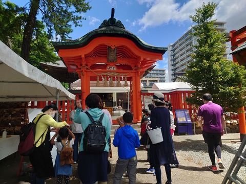 LINE_ALBUM_2022年5月28日 梅収穫_220530_131