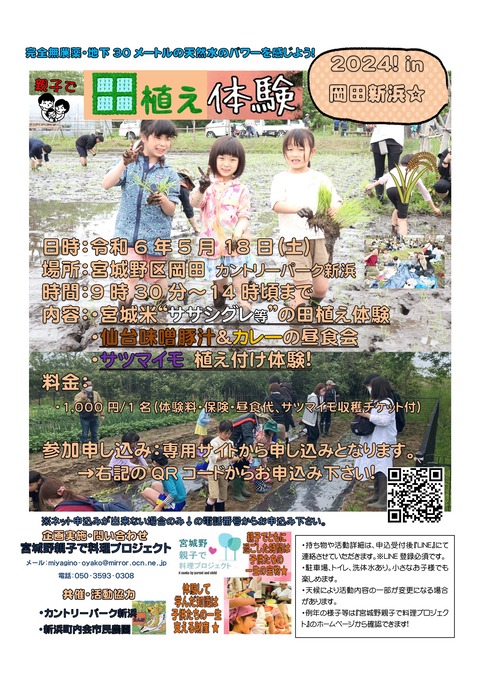 チラシ