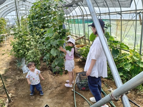MVIMG_20250817_134540