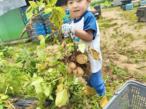 MVIMG_20250621_104457