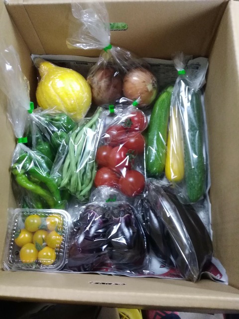 夏野菜セット_1624199797221