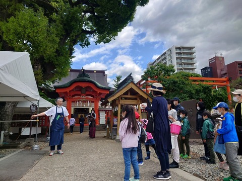 LINE_ALBUM_2022年5月28日 梅収穫_220530_137